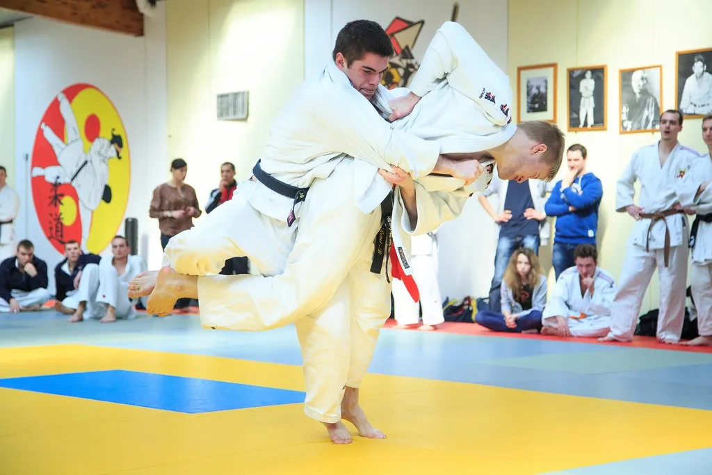 Illustration judo