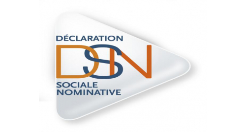 Logo Déclaration Sociale Nominative